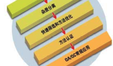 雜質分析